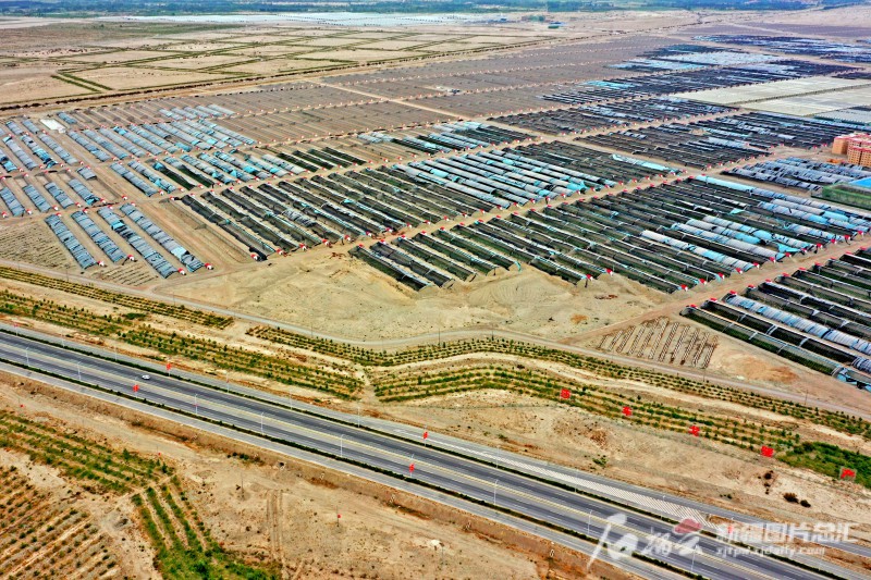 莎車縣戈壁產業園里，3000座溫室大棚成為荒灘上最具活力的地方。天山網-新疆日報記者 蔡增樂 攝